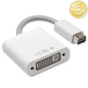 Qoltec Adapter Mini Displayport DVI na DVI (24+5) | Full HD | 0.16m