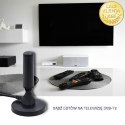 Qoltec Antena telewizyjna DVB-T2