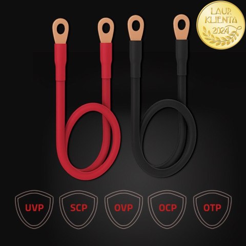 Qoltec Inteligentna profesjonalna ładowarka Monolith do akumulatorów LiFePO4 AGM GEL SLA | 40A | 12V