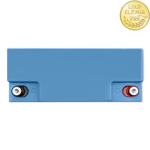 Qoltec Akumulator LiFePO4 Litowo-Żelazowo-Fosforanowy | 12.8V | 30Ah | 384Wh | BMS