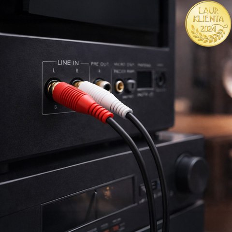 Qoltec Bezprzewodowy adapter odbiornik dźwięku Audio HiFi Home&Car| Bluetooth 6.0 | 2 x RCA | 1 x AUX MiniJack 3.5mm| USB | Mikr