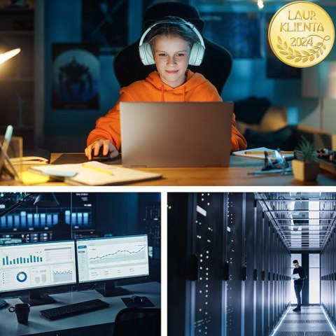 Qoltec Zasilacz awaryjny UPS Pure Sine Wave | 3kVA | 2400W | AVR | LCD | Czysty Sinus