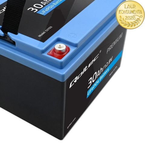 Qoltec Akumulator LiFePO4 Litowo-Żelazowo-Fosforanowy | 12.8V | 30Ah | 384Wh | BMS