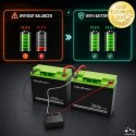 Qoltec Balanser napięcia 24V do akumulatorów 2 x 12V | 5A | AGM GEL LiFePO4 | LED