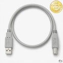 Qoltec Kabel USB 2.0 A męski | B męski | 1m