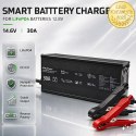 Qoltec Specjalistyczna ładowarka do akumulatora LiFePO4 12V | 30A | PF 0.9 | LED | Inteligentne ładowanie